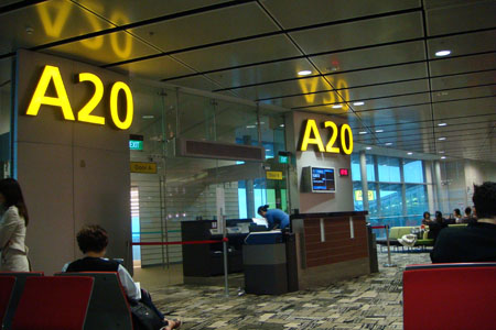 dsc02593-copy.JPG