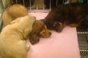 dsc02806.JPG