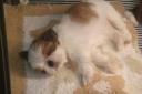 dsc02816.JPG